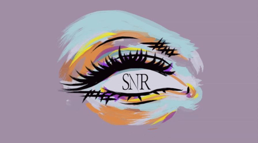 Image of SNR 35 logo