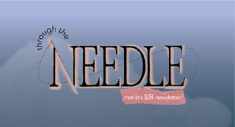 SNR36 Needle Icon
