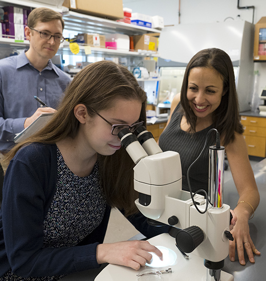 Image of Students performing experiment