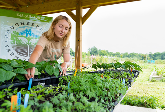 Elena Tesluk works with plants at the Poughkeepsie Farm Project