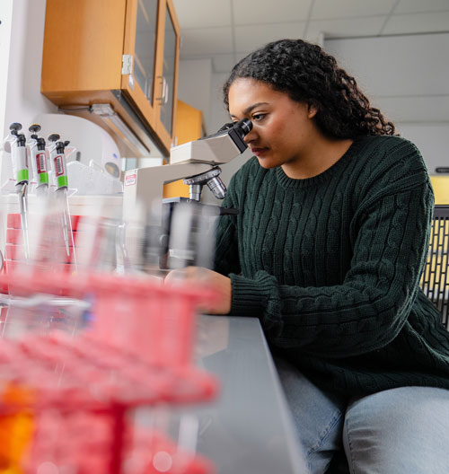 Image of a Marist University science student looking into a microscope.