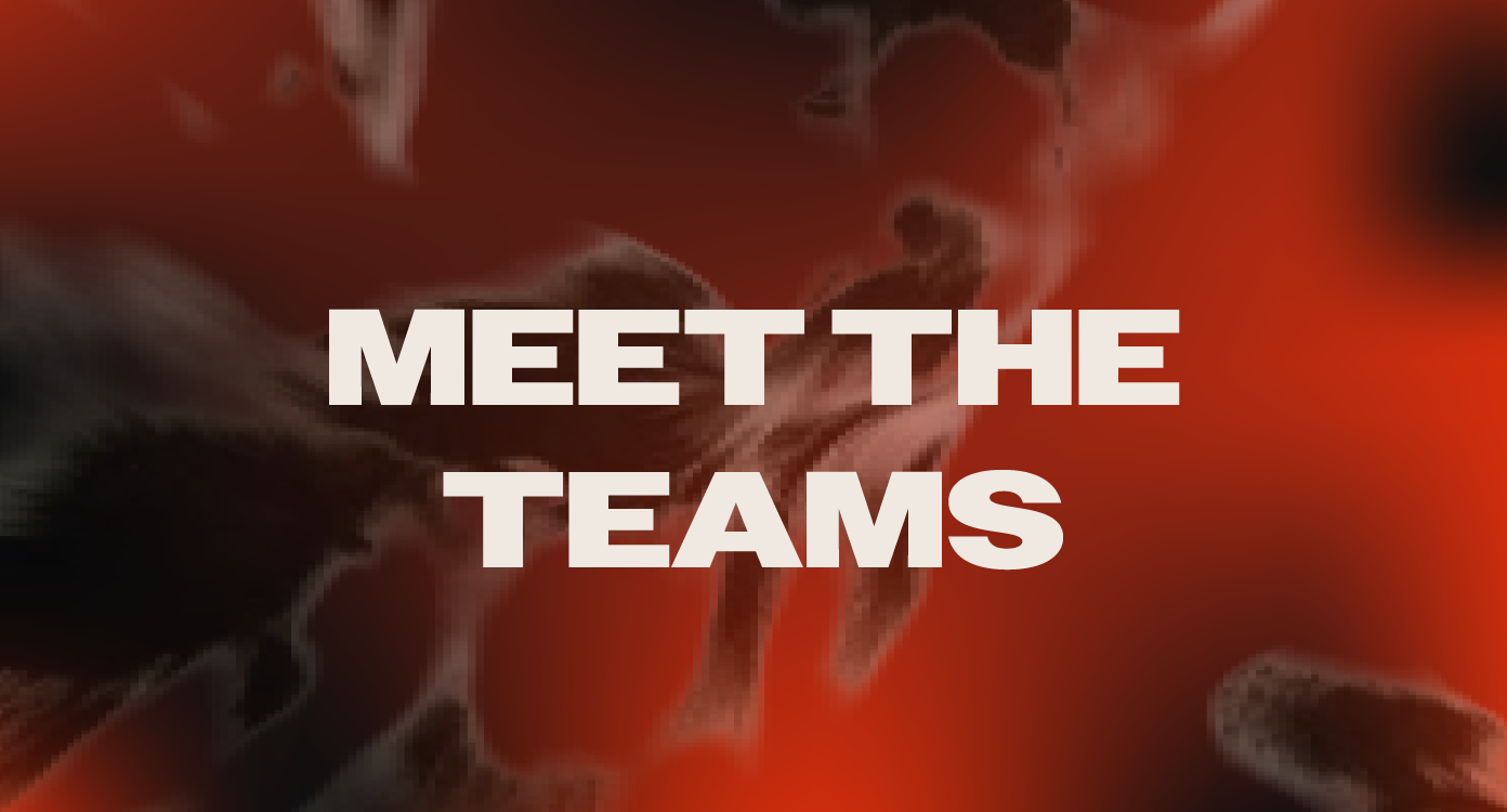 Image of a picture that states