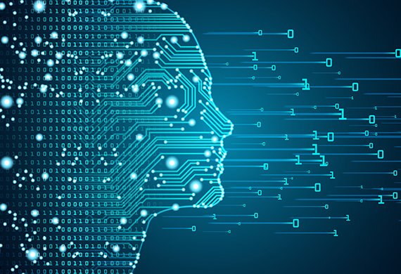 Marist University Campus