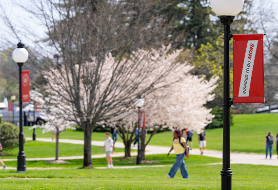 Image of a Marist University light post sign that says 