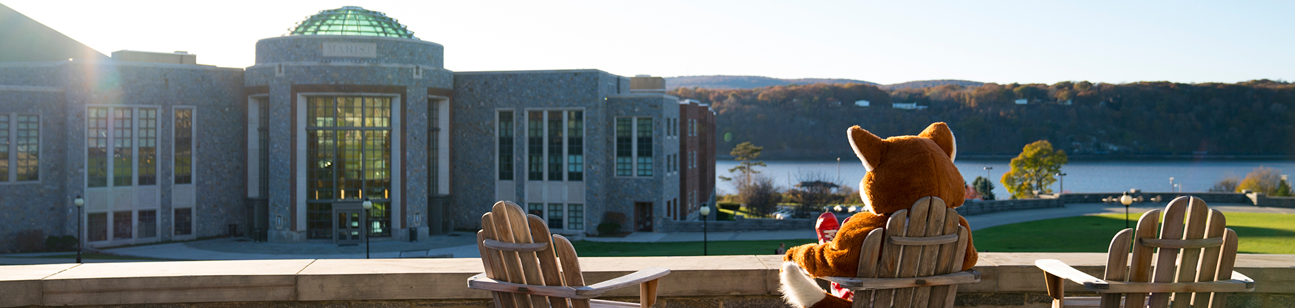 An image of Frankie looking out over the Rotunda