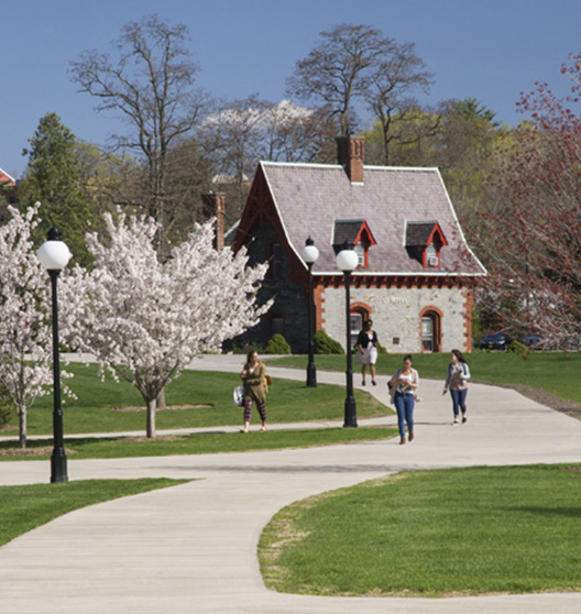 students walking around the campus