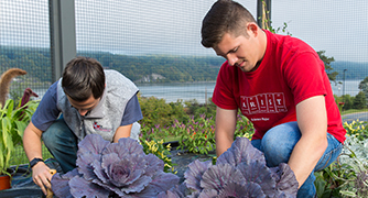 Photo of students gardening