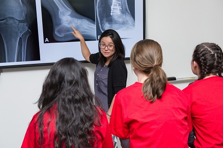 Doctor of Physical Therapy Faculty and Staff