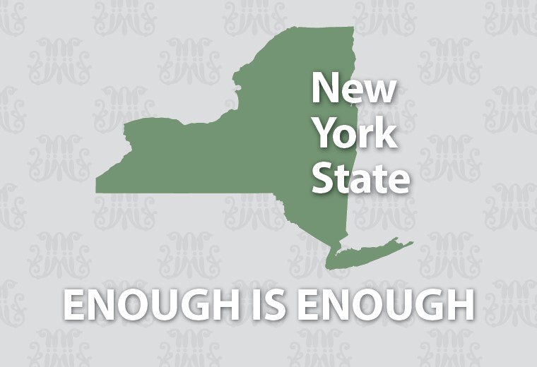 Image of New York State Enough is Enough.