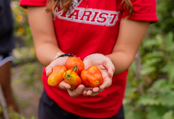 Image of Marist student holding tomatoes from student garden.