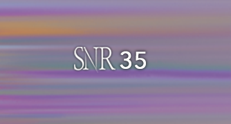 Image of SNR 35 logo