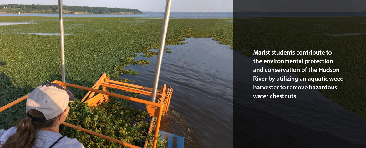  Marist students conduct hands-on research with the New York State Department of Environmental Conservation Hudson River Estuary Program and the Hudson River National Estuarine Research Reserve on migratory eels in the Hudson River and changes in eel pigmentation.