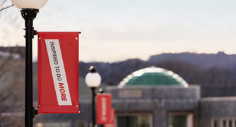 Image of a banner on a light pole.