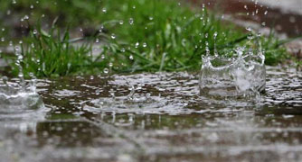 Image of rain drops puddling.