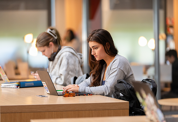 Image of Marist student on lap top.