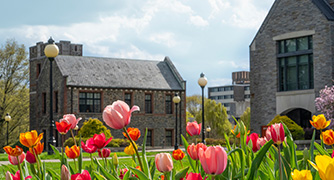 Plants glow at Marist college