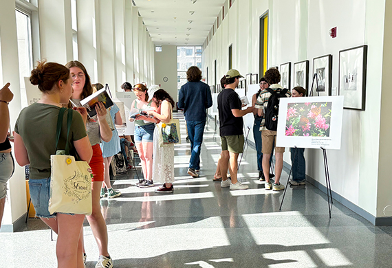 Image of Fontaine Fest.