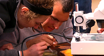 An image of students working on a lab. 