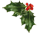 Image of a berry