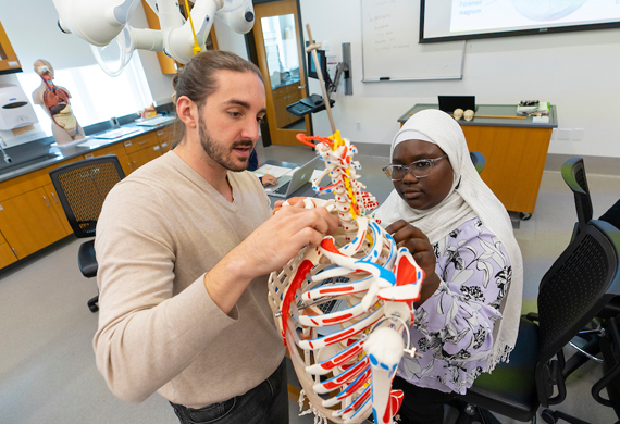 Image of students examining a skeleton model collaboratively in a laboratory.
