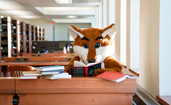 An image of Frankie the Fox in the library 