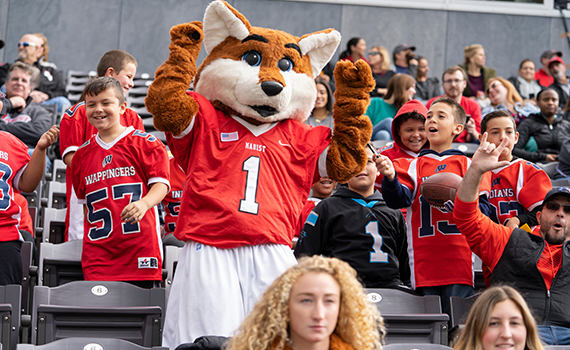 An image of Frankie the Fox in the stands with fans. 