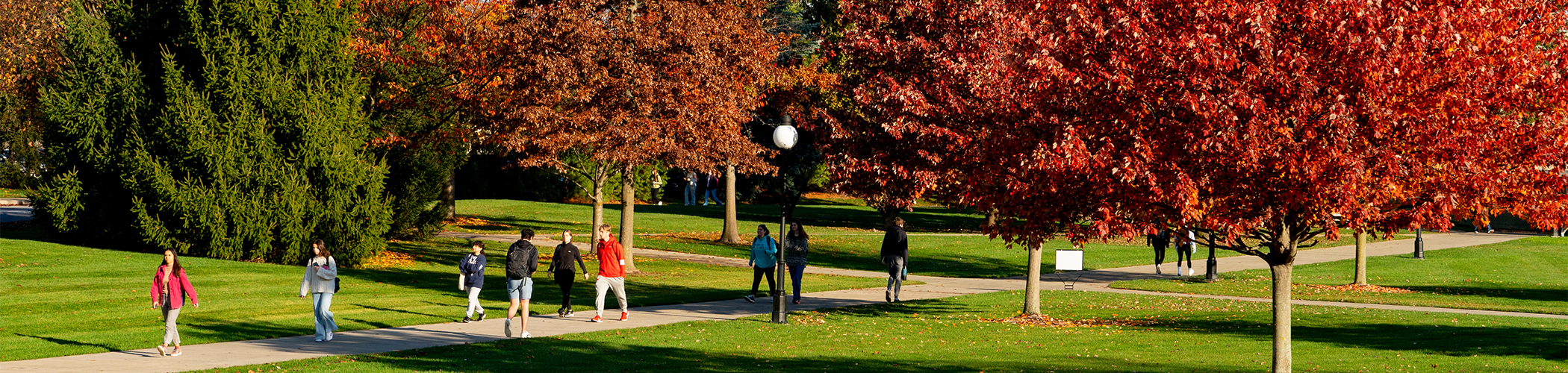 Image of Marist University campus.