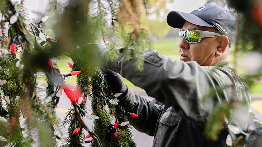 Image of tree being decorated.