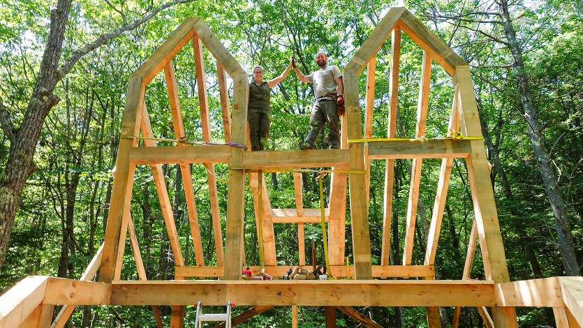 Image of the treehouse’s fox-inspired shape beginning to take form