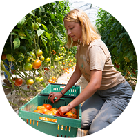 Image of a student working in Marist's community garden