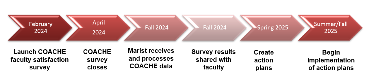 Image of the COACHE timeline.