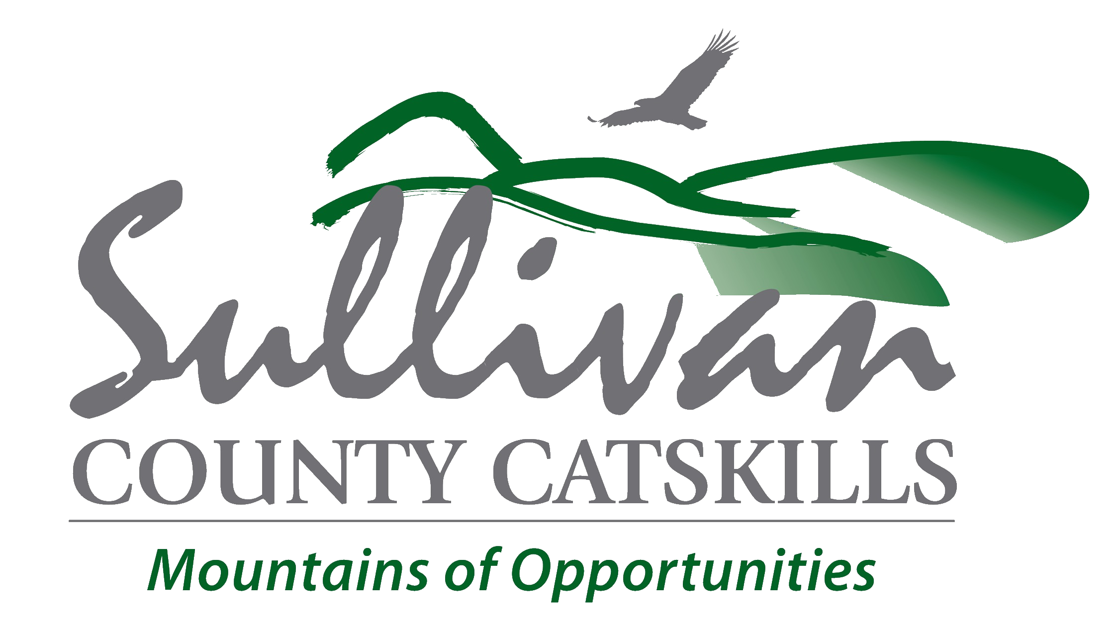 image of sullivan county logo
