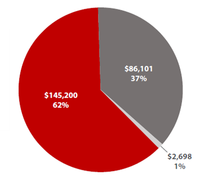 Image of a pie graph representing spending activity by the Presidential Fund for Equity.