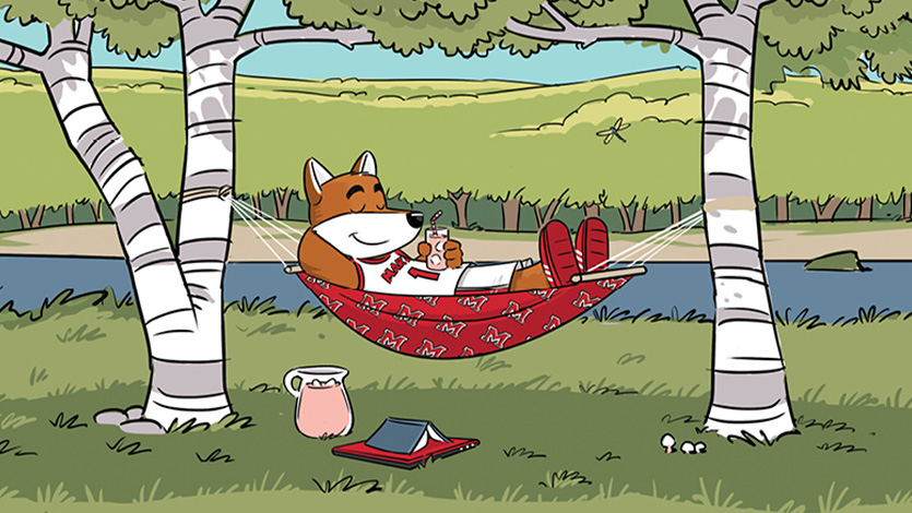 Image of Frankie the Fox in summertime