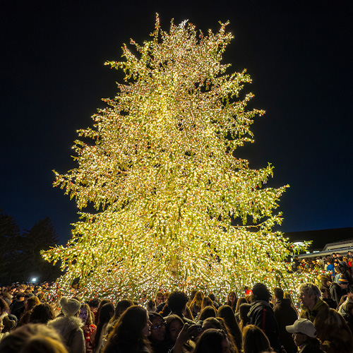 Marist University image: Holiday tree lighting in front of Marist community.
