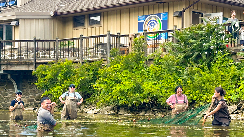 Image of Tarver interns&nbsp;seining for&nbsp;fish (fishing with a vertical net) in the Hudson River&nbsp;outside of Norrie Point Environmental Center. Photo by Chris Bowser.&nbsp;&nbsp;