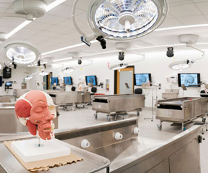 Image of Marist University's Gross Anatomy Lab.