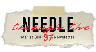 image of SNR37's "Through the Needle" newsletter logo