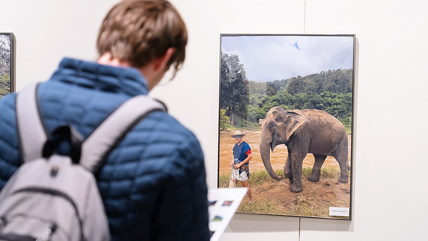 Image of A student observes a photo of an elephant from Megan’s time in Chiang Mai, Thailand.