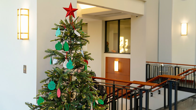 Image of Giving Tree. 